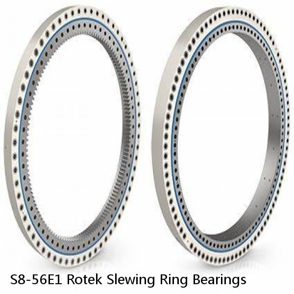 S8-56E1 Rotek Slewing Ring Bearings