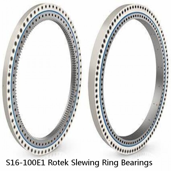 S16-100E1 Rotek Slewing Ring Bearings
