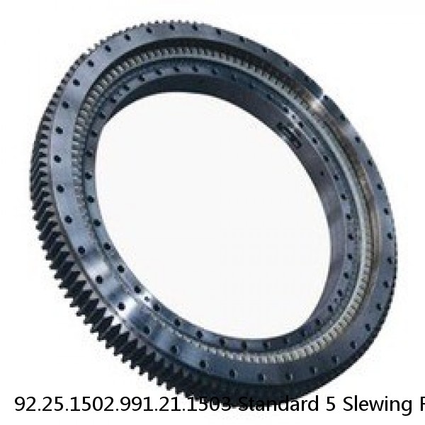 92.25.1502.991.21.1503 Standard 5 Slewing Ring Bearings