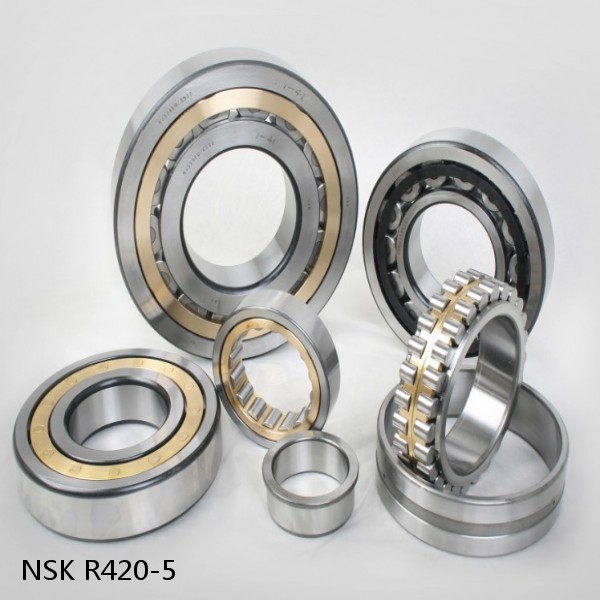 R420-5 NSK CYLINDRICAL ROLLER BEARING