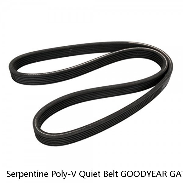 Serpentine Poly-V Quiet Belt GOODYEAR GATORBACK 4040528