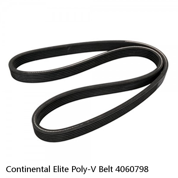 Continental Elite Poly-V Belt 4060798