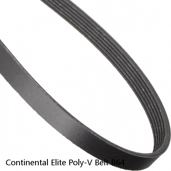 Continental Elite Poly-V Belt B64