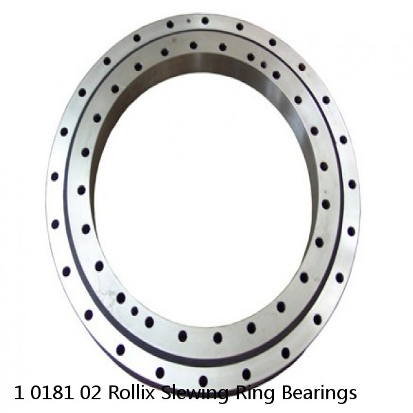 1 0181 02 Rollix Slewing Ring Bearings