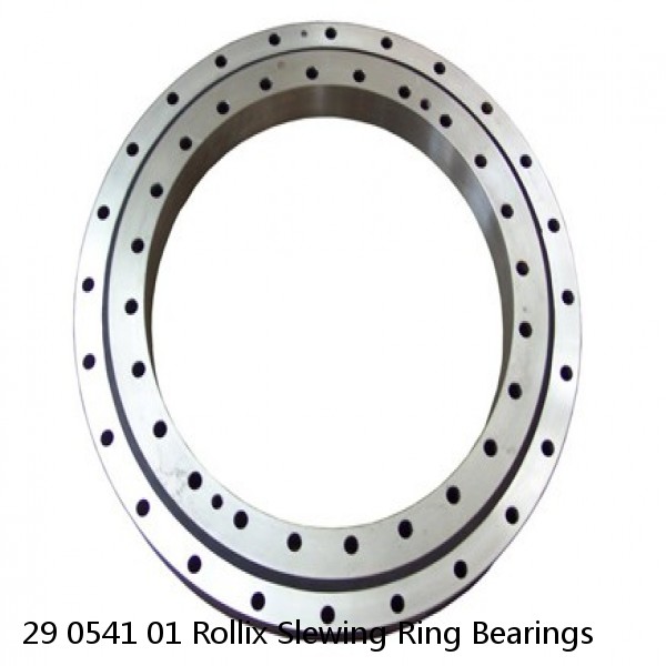 29 0541 01 Rollix Slewing Ring Bearings