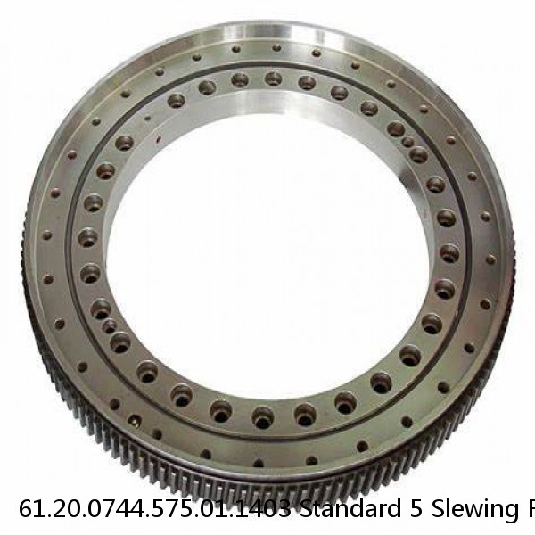 61.20.0744.575.01.1403 Standard 5 Slewing Ring Bearings