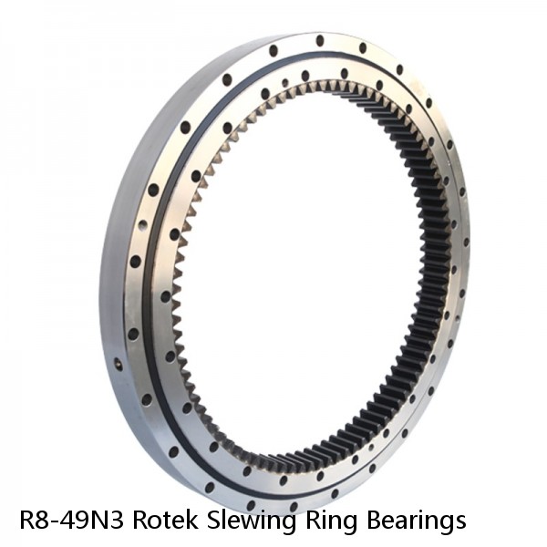 R8-49N3 Rotek Slewing Ring Bearings