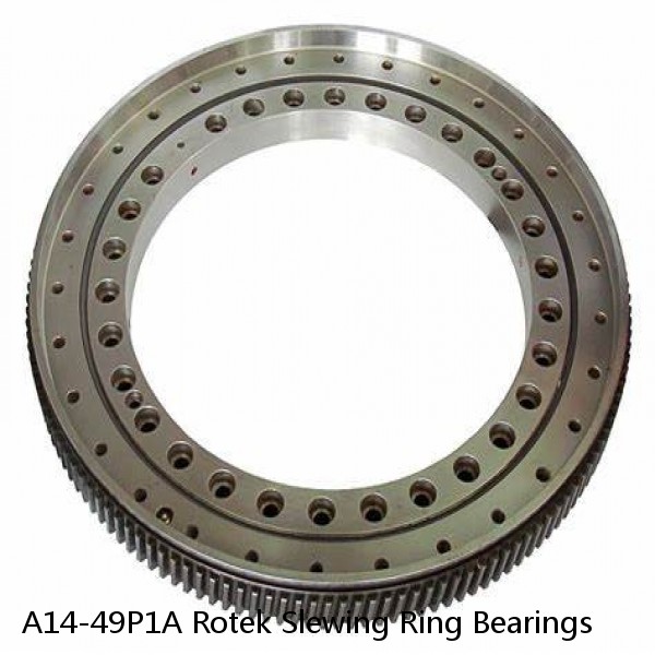 A14-49P1A Rotek Slewing Ring Bearings