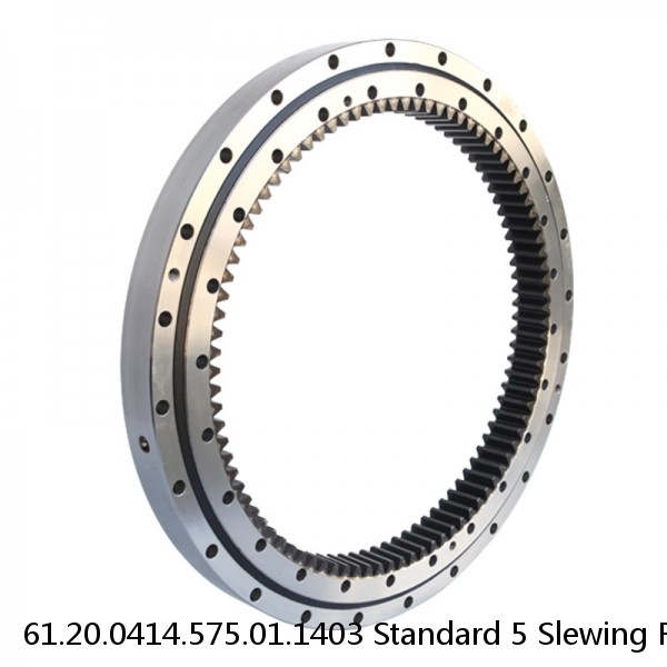 61.20.0414.575.01.1403 Standard 5 Slewing Ring Bearings