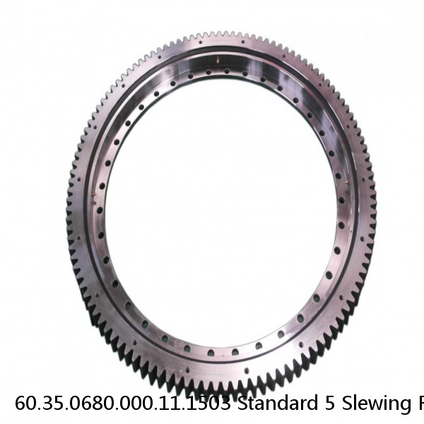 60.35.0680.000.11.1503 Standard 5 Slewing Ring Bearings