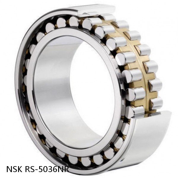 RS-5036NR NSK CYLINDRICAL ROLLER BEARING