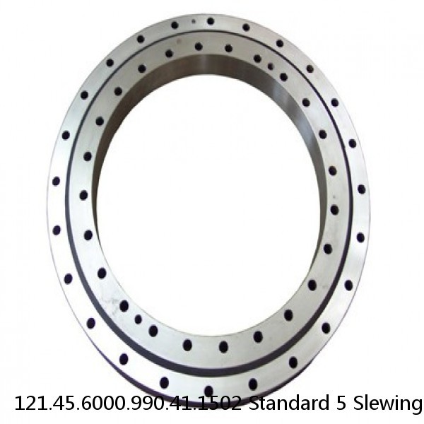 121.45.6000.990.41.1502 Standard 5 Slewing Ring Bearings