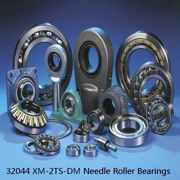 32044 XM-2TS-DM Needle Roller Bearings