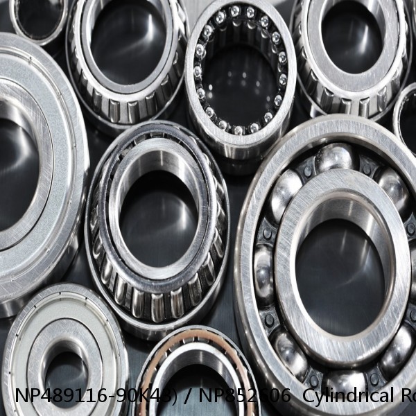 NP489116-90K43) / NP852606  Cylindrical Roller Bearings