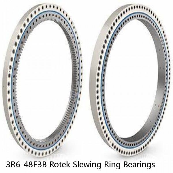 3R6-48E3B Rotek Slewing Ring Bearings