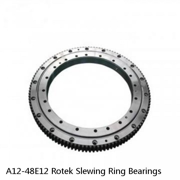 A12-48E12 Rotek Slewing Ring Bearings