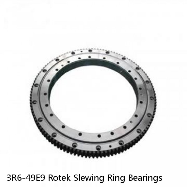 3R6-49E9 Rotek Slewing Ring Bearings