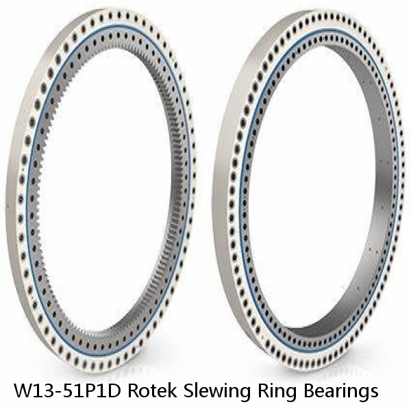 W13-51P1D Rotek Slewing Ring Bearings