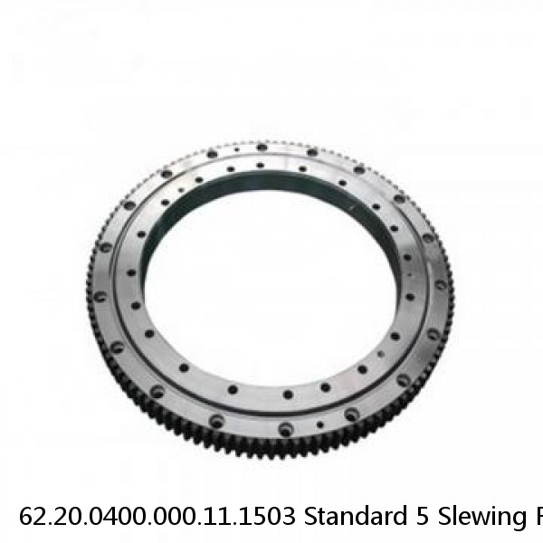 62.20.0400.000.11.1503 Standard 5 Slewing Ring Bearings