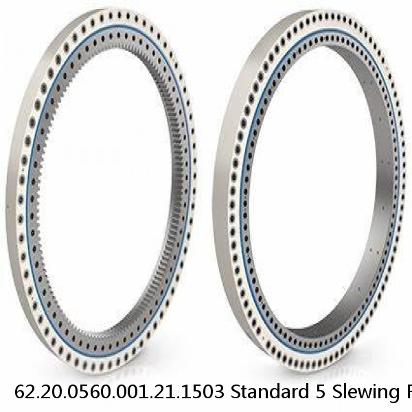 62.20.0560.001.21.1503 Standard 5 Slewing Ring Bearings