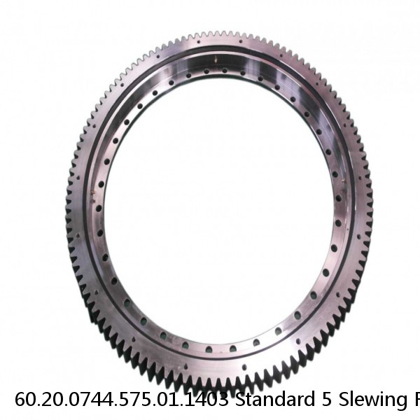 60.20.0744.575.01.1403 Standard 5 Slewing Ring Bearings