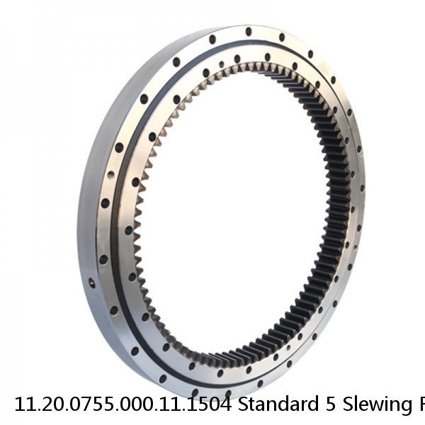 11.20.0755.000.11.1504 Standard 5 Slewing Ring Bearings