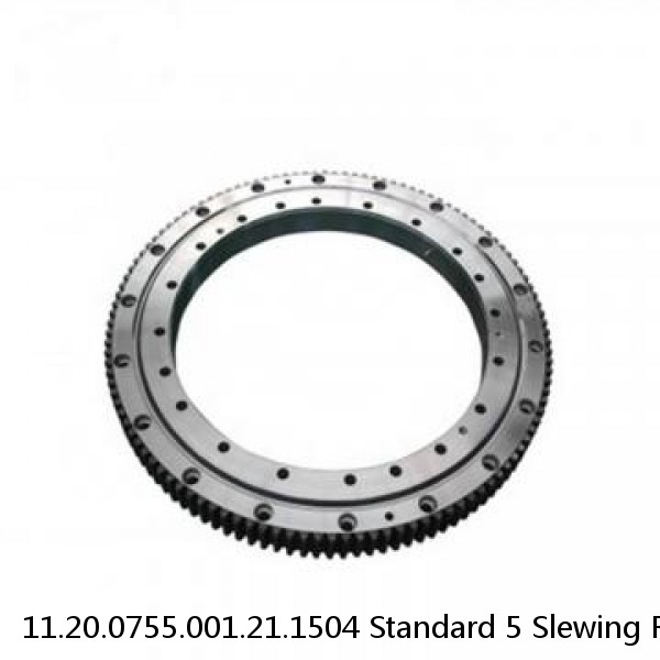 11.20.0755.001.21.1504 Standard 5 Slewing Ring Bearings