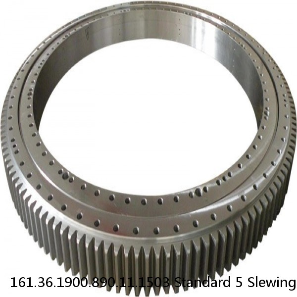 161.36.1900.890.11.1503 Standard 5 Slewing Ring Bearings