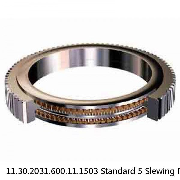 11.30.2031.600.11.1503 Standard 5 Slewing Ring Bearings