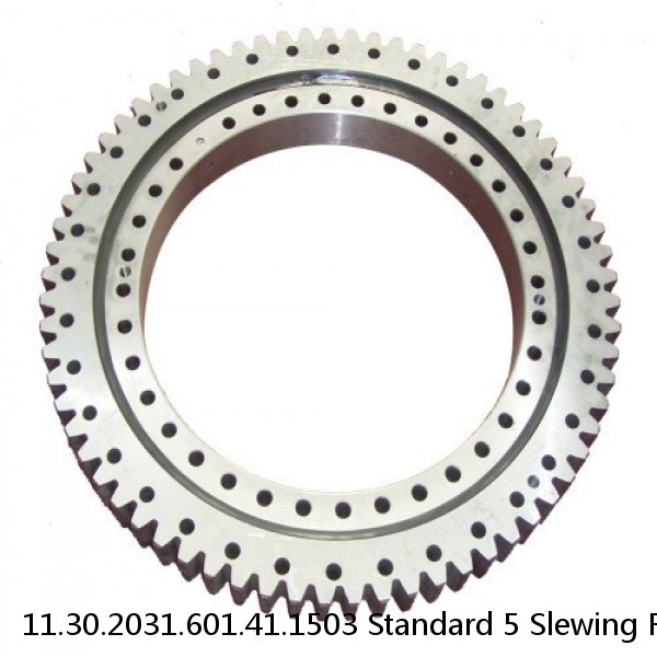 11.30.2031.601.41.1503 Standard 5 Slewing Ring Bearings