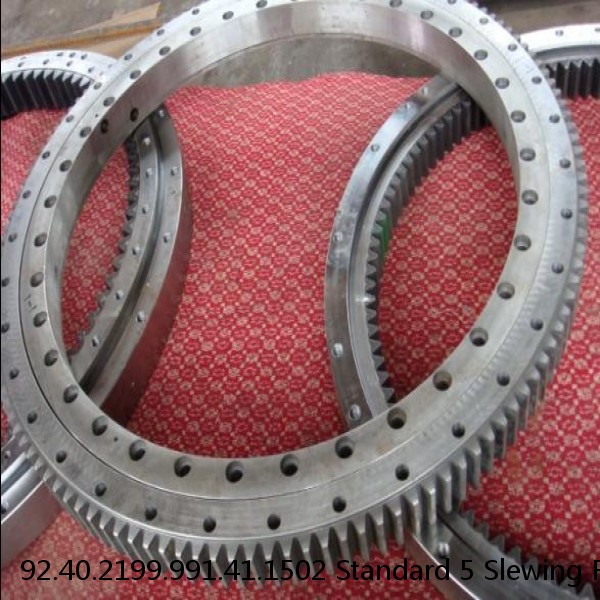 92.40.2199.991.41.1502 Standard 5 Slewing Ring Bearings