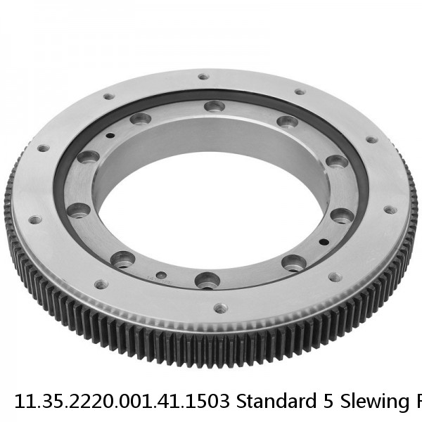 11.35.2220.001.41.1503 Standard 5 Slewing Ring Bearings