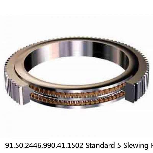 91.50.2446.990.41.1502 Standard 5 Slewing Ring Bearings