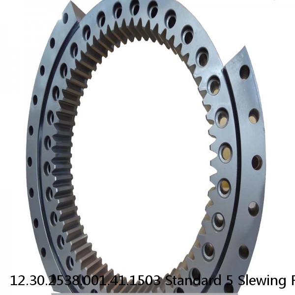 12.30.2538.001.41.1503 Standard 5 Slewing Ring Bearings