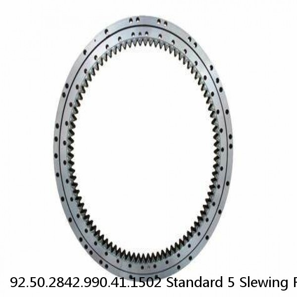 92.50.2842.990.41.1502 Standard 5 Slewing Ring Bearings