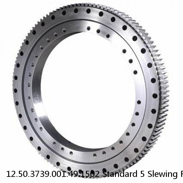 12.50.3739.001.49.1502 Standard 5 Slewing Ring Bearings