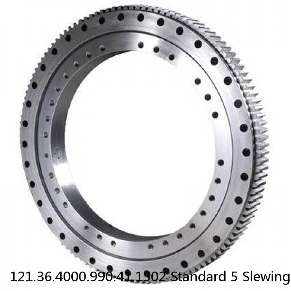 121.36.4000.990.41.1502 Standard 5 Slewing Ring Bearings