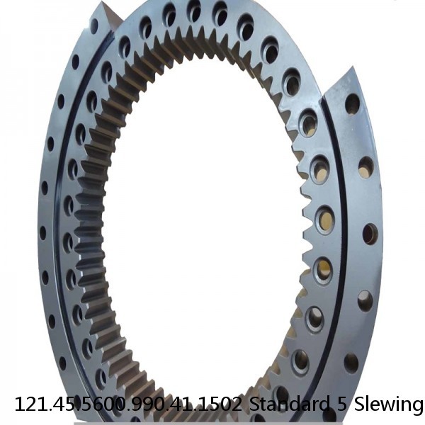 121.45.5600.990.41.1502 Standard 5 Slewing Ring Bearings