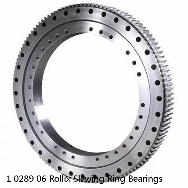 1 0289 06 Rollix Slewing Ring Bearings