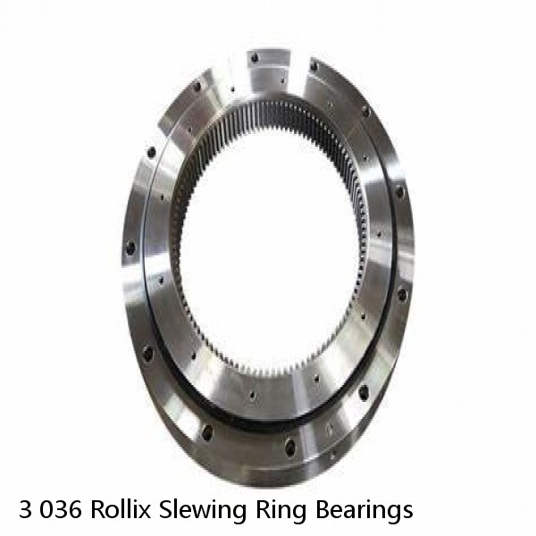 3 036 Rollix Slewing Ring Bearings