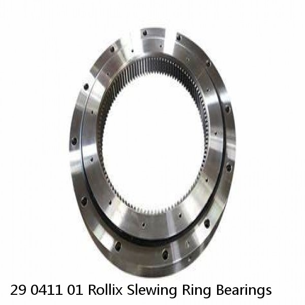 29 0411 01 Rollix Slewing Ring Bearings