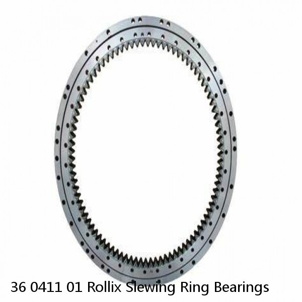 36 0411 01 Rollix Slewing Ring Bearings