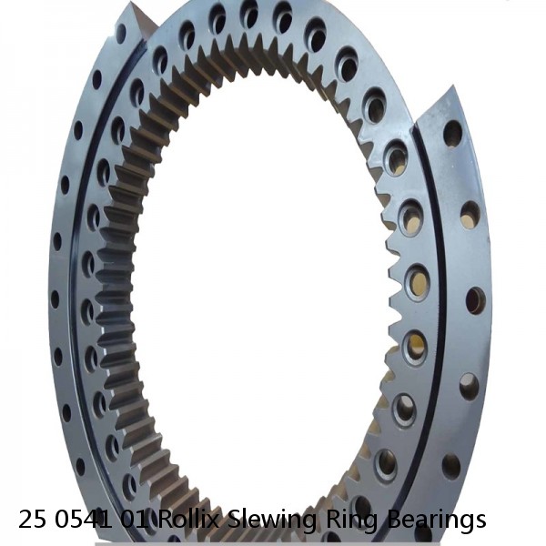 25 0541 01 Rollix Slewing Ring Bearings