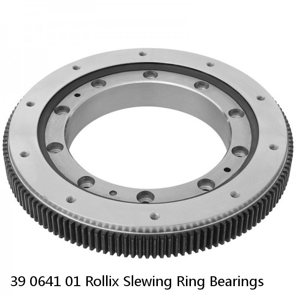 39 0641 01 Rollix Slewing Ring Bearings