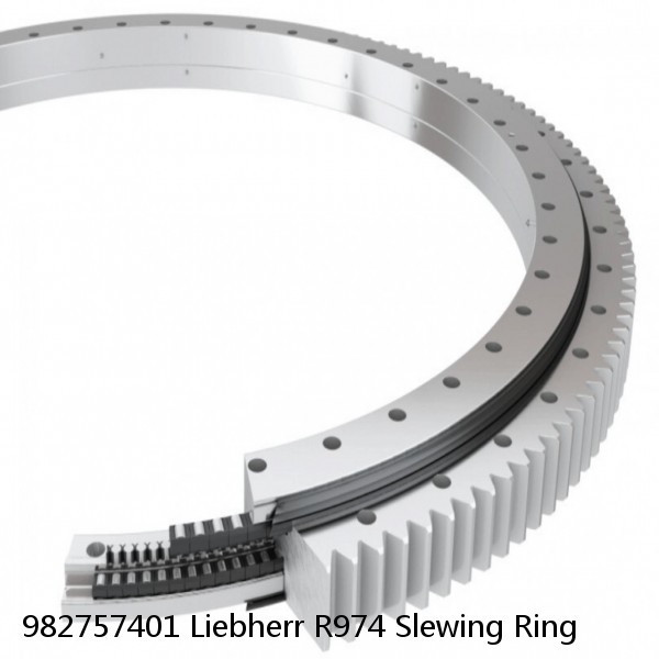 982757401 Liebherr R974 Slewing Ring