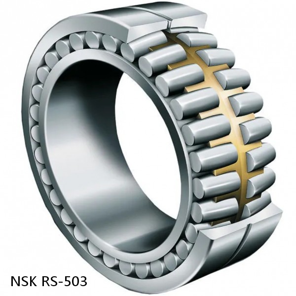 RS-503 NSK CYLINDRICAL ROLLER BEARING