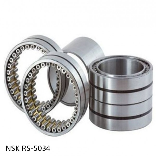 RS-5034 NSK CYLINDRICAL ROLLER BEARING