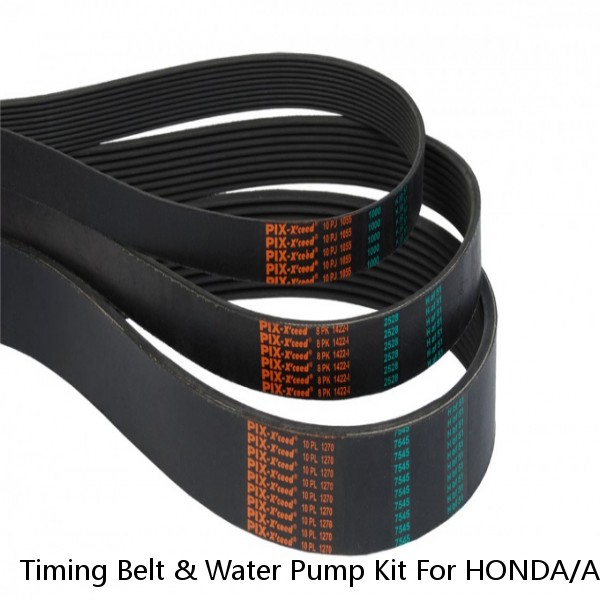 Timing Belt & Water Pump Kit For HONDA/ACURA Accord Odyssey V6 3.0/3.2/3.5/3.7L